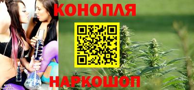 шишки Ирбит