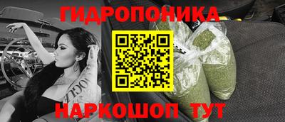 шишки Ирбит
