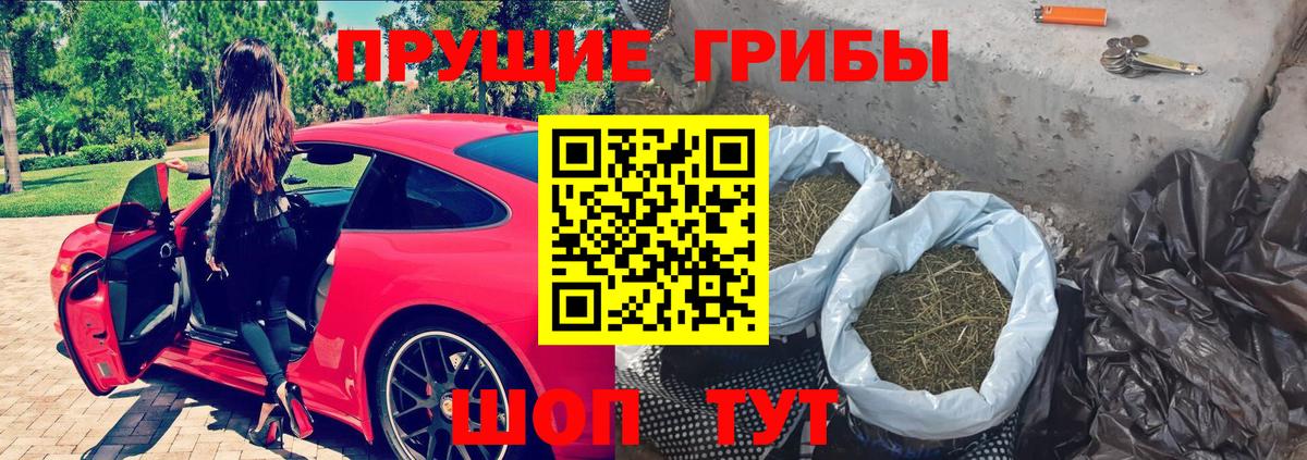 Галлюциногенные грибы Psilocybe Коркино
