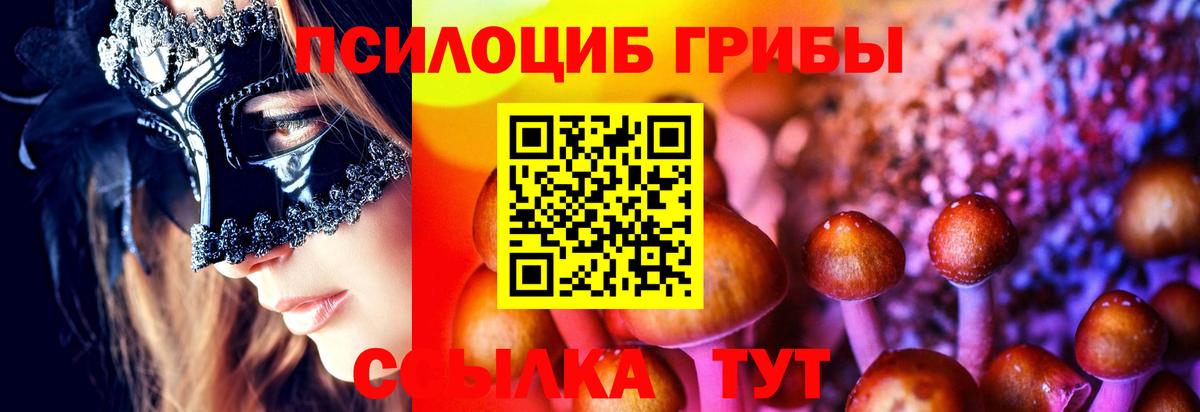 Галлюциногенные грибы Psilocybine cubensis  Псилоцибиновые грибы GOLDEN TEACHER  Вход с VPN  Коркино 