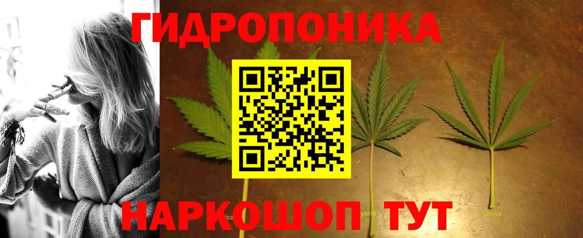 Бошки марихуана марихуана Коркино